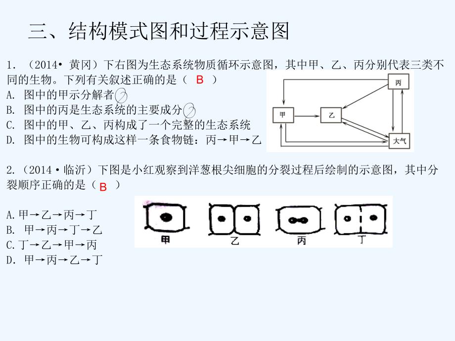 2015中考生物冲刺复习课件-专题二-识图解图（含中考题）专题二、识图解图：三、结构模式图和过程示意图_第2页