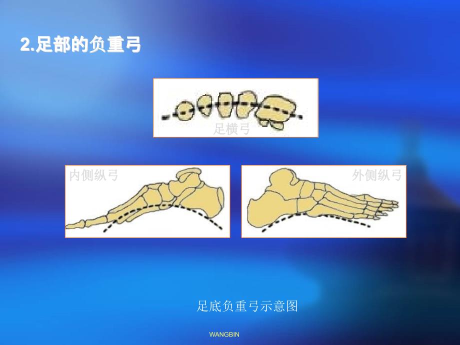 跟骨骨折的护理29421_第4页