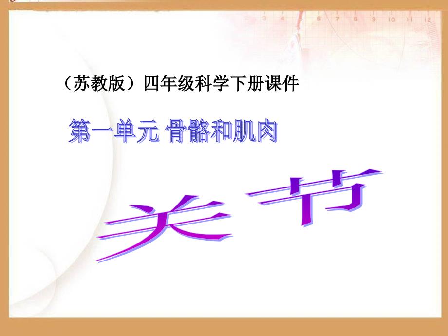 苏教版四年级科学下册章节件讲解材料_第1页