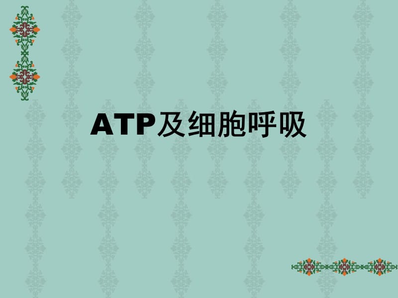 ATP与细胞呼吸_第1页