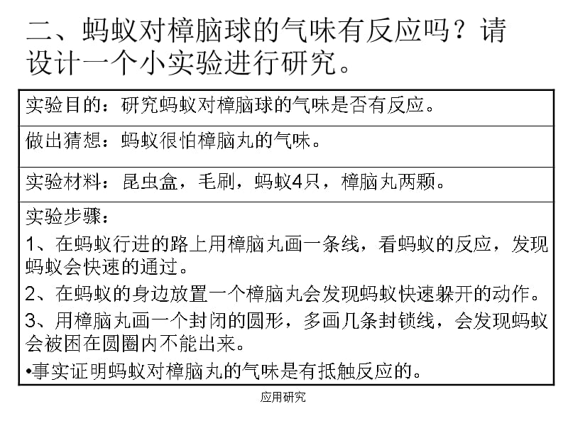 观察蚂蚁ppt执教课件_第3页