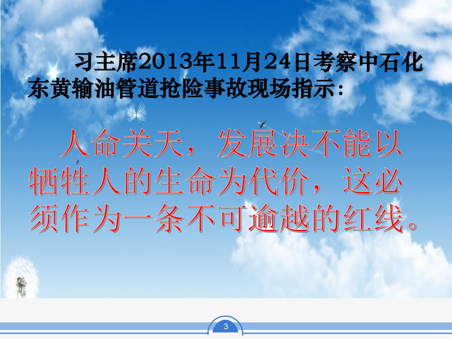 {安全生产管理}安全生产责任主体的主体责任落实概论_第3页