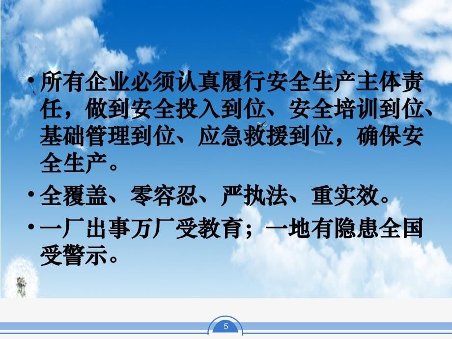 {安全生产管理}安全生产责任主体的主体责任落实概论_第5页