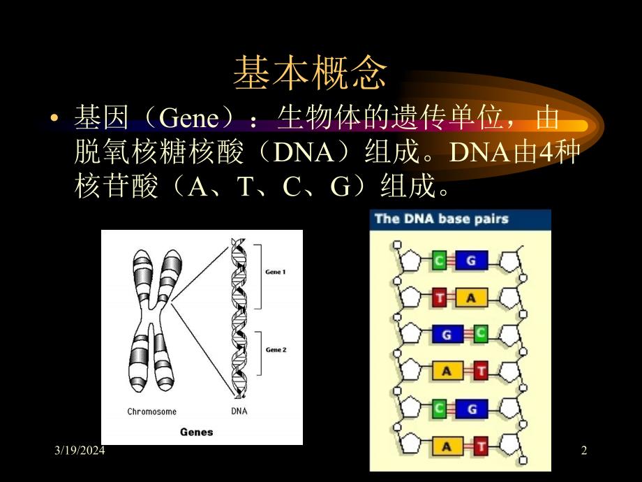 人类后基因组时代Post-genomeera讲解学习_第2页