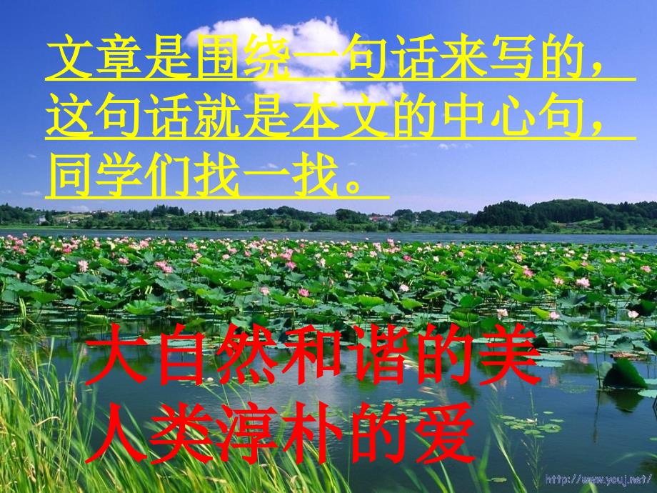 最新课件荷塘旧事课件（北师大版六年级语文上册课件）_第2页