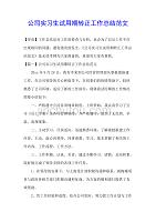 公司实习生试用期转正工作总结范文