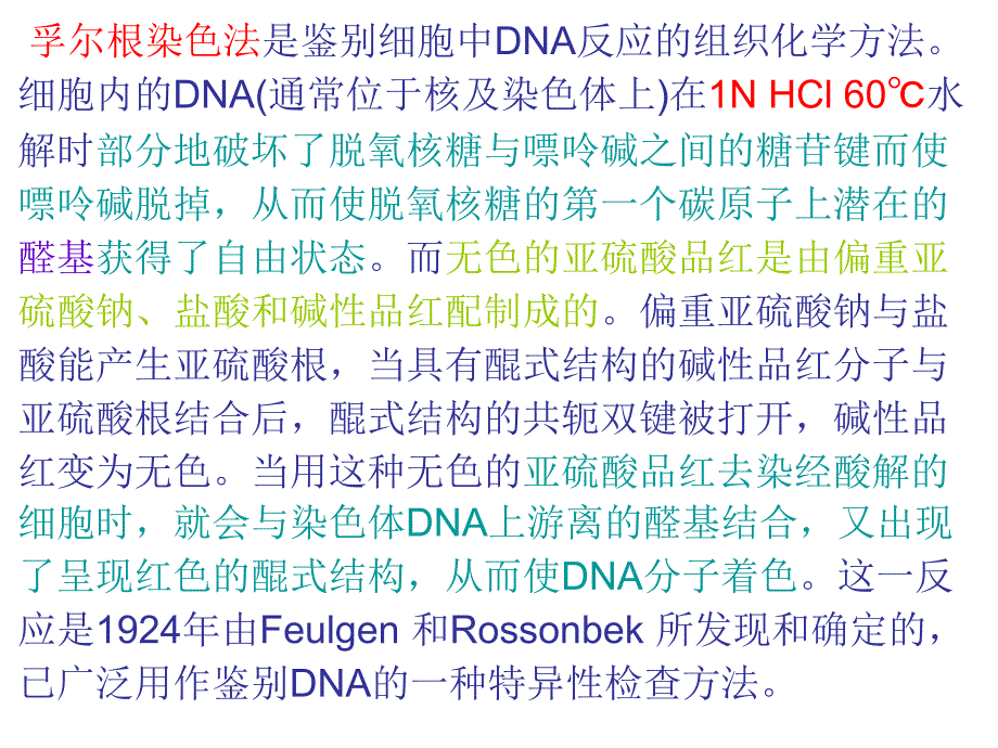 实验四姊妹染色单体分染技术学时综合性设计性培训课件_第4页