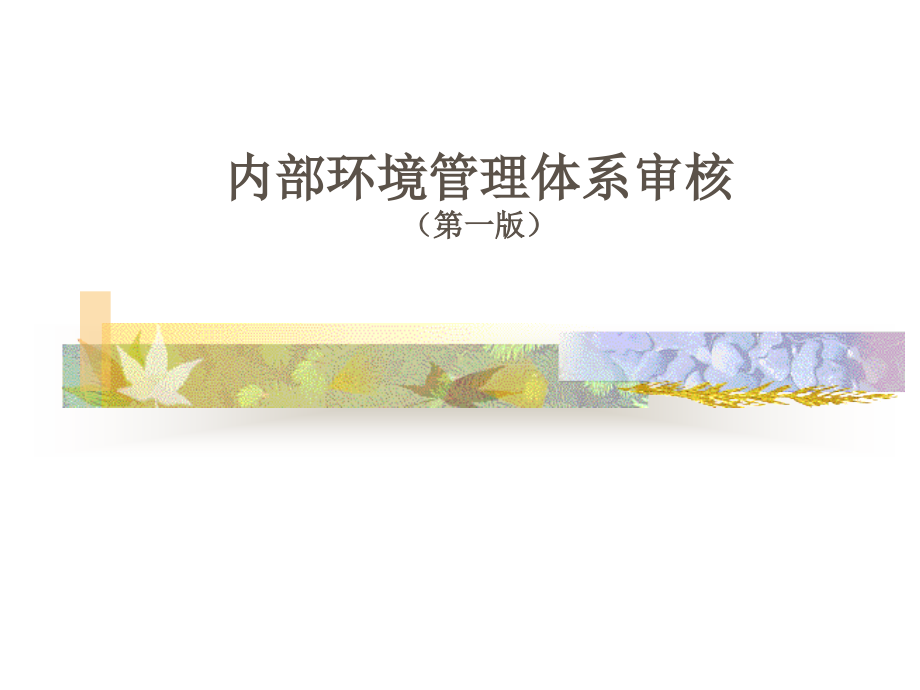 质量管理体系要求课件_第1页