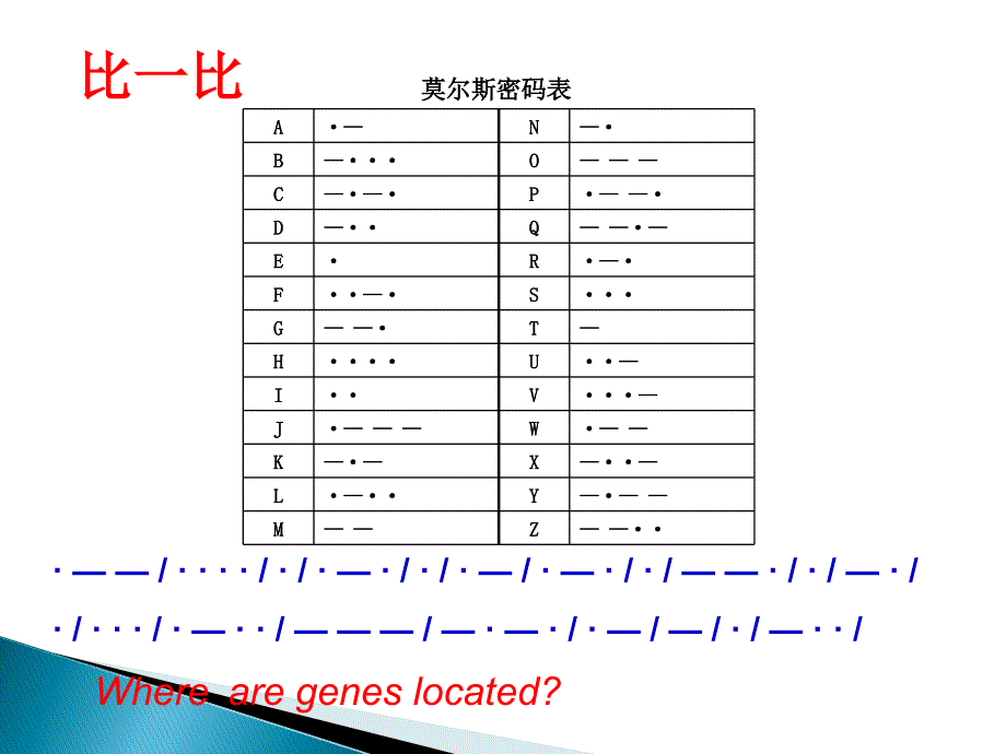 基因指导蛋白质的合成(翻译)_第3页