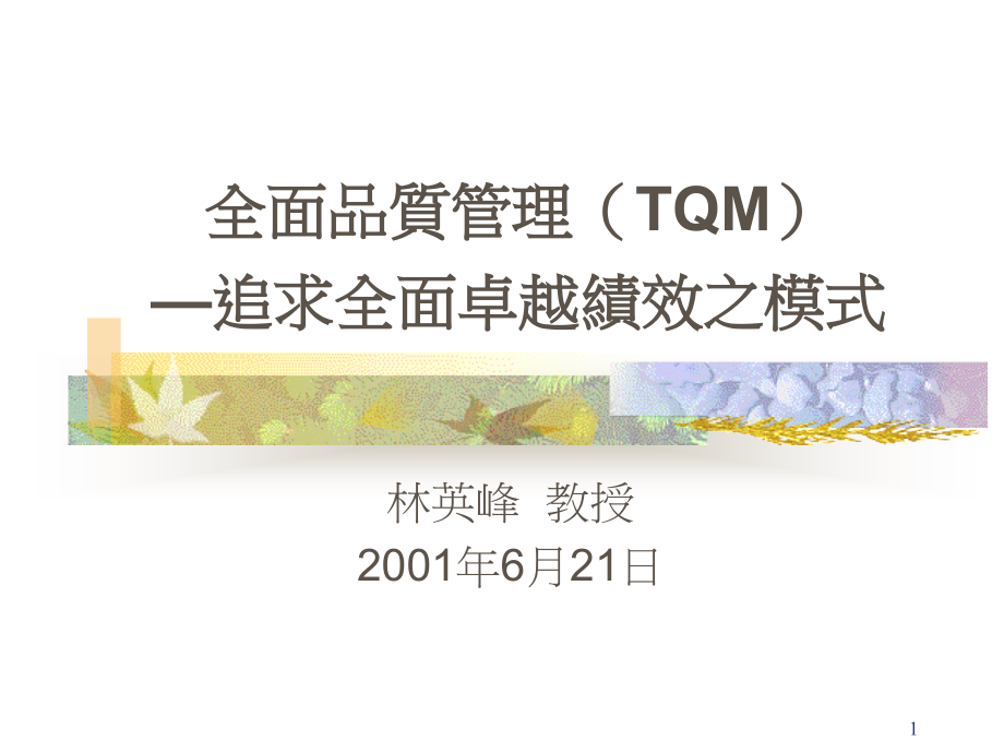 {TQM全面质量管理}全面品质管理TQM—追求全面卓越绩效之模式PPT139页_第1页