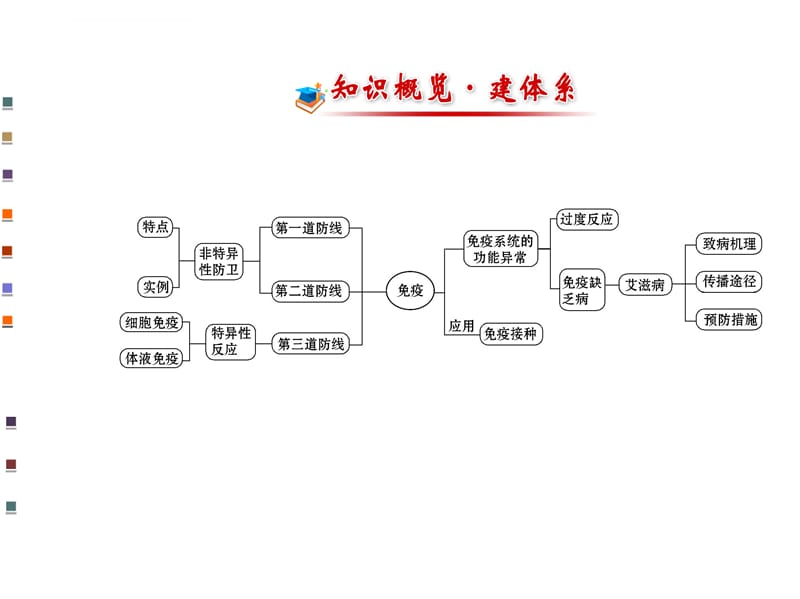 《免疫系统与免疫功能》课件_第2页