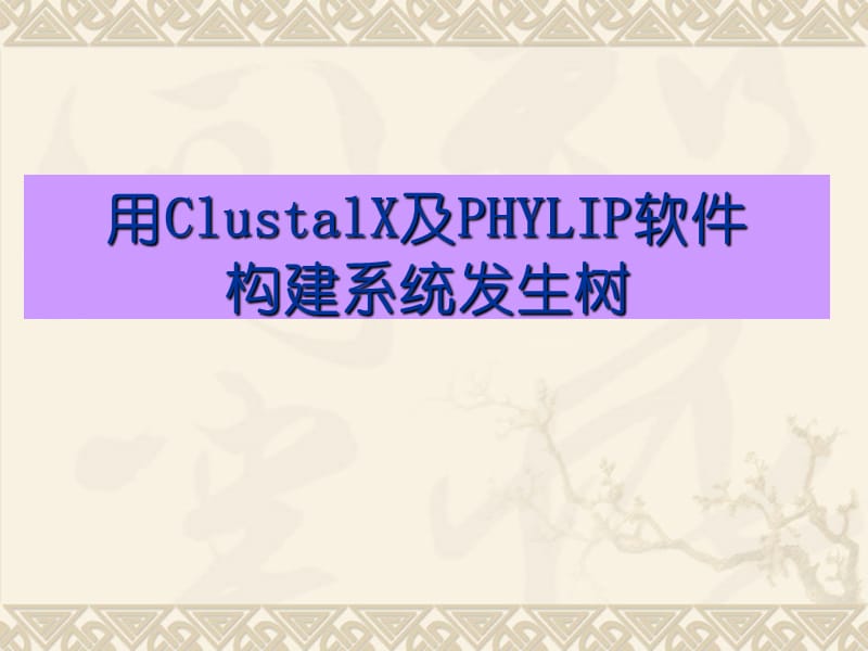 使用clustal软件及phylip构建系统发生树培训课件_第1页