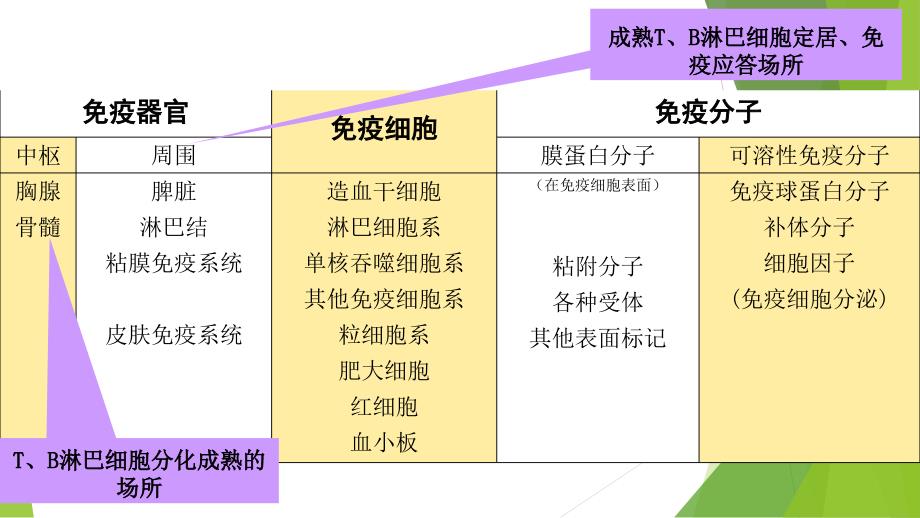 高IgM综合征_第4页