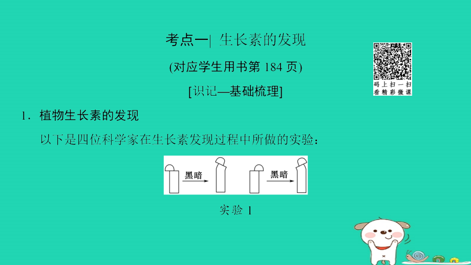 （全国版）高考生物一轮复习第8单元生命活动的调节第5讲植物的激素调节课件_第4页