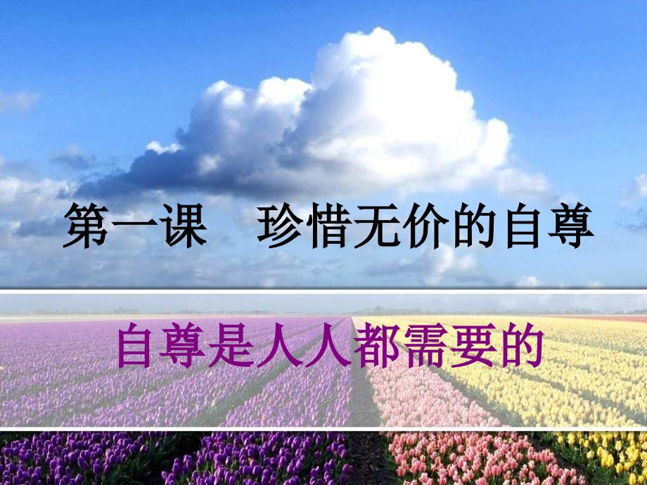 《自尊是人人都需要的》 课件_第1页