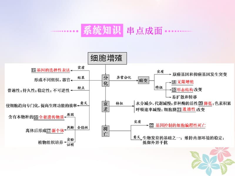 （全国通用）高考生物二轮复习专题一细胞串讲二细胞的生命历程第1课时基础自查课件_第3页