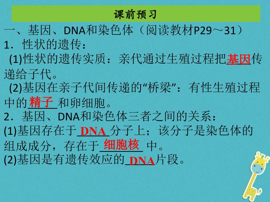 八年级生物下册7.2.2基因在亲子代间的传递课件（新版）新人教版_第3页