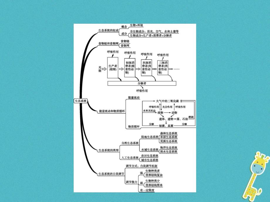 八年级生物下册6.2.1生态系统的组成课件（新版）济南版_第2页