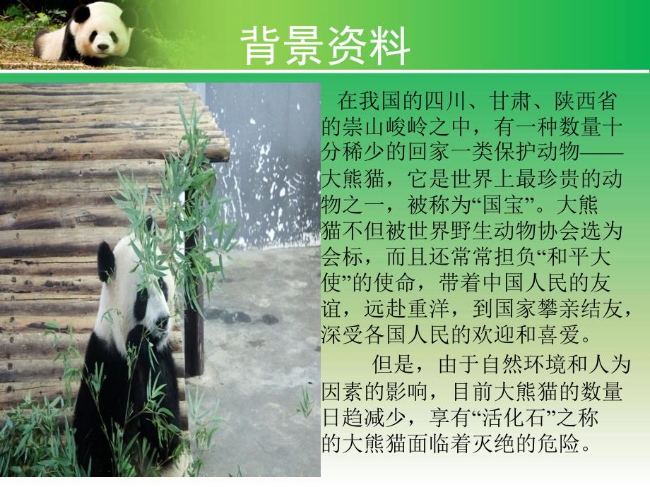 六年级下册信息技术课件第1课大熊猫的渴望认识幻灯片河大211_第3页