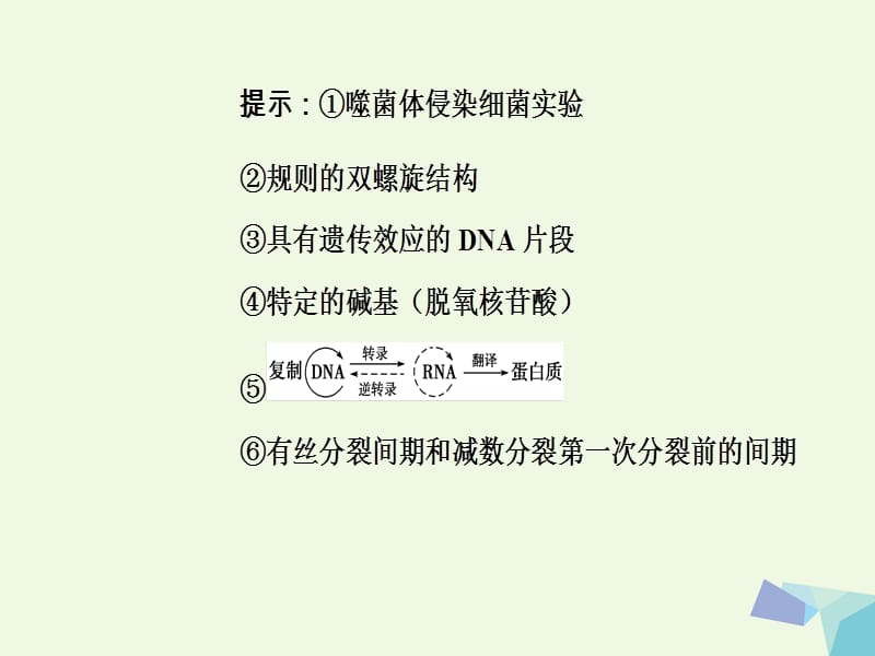 （新课标）高考生物二轮专题复习专题三遗传、变异和进化小专题6遗传的分子基础课件_第5页