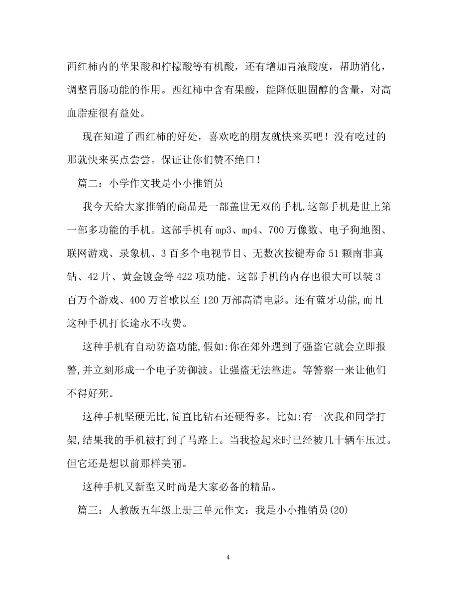 我是小小推销员作文300字_第4页