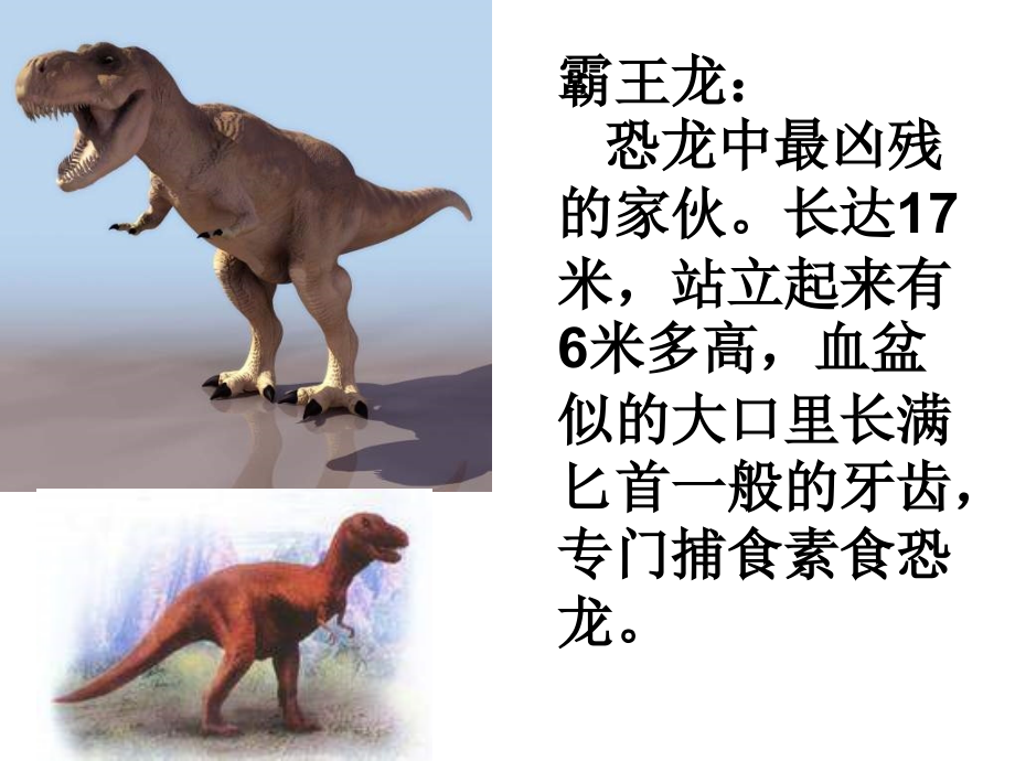 六年级下科学课件消失了的恐龙7苏教_第4页
