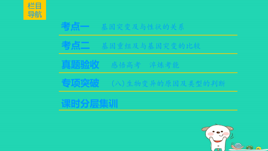 （全国版）高考生物一轮复习第7单元生物的变异、育种和进化第1讲基因突变和基因重组课件_第2页