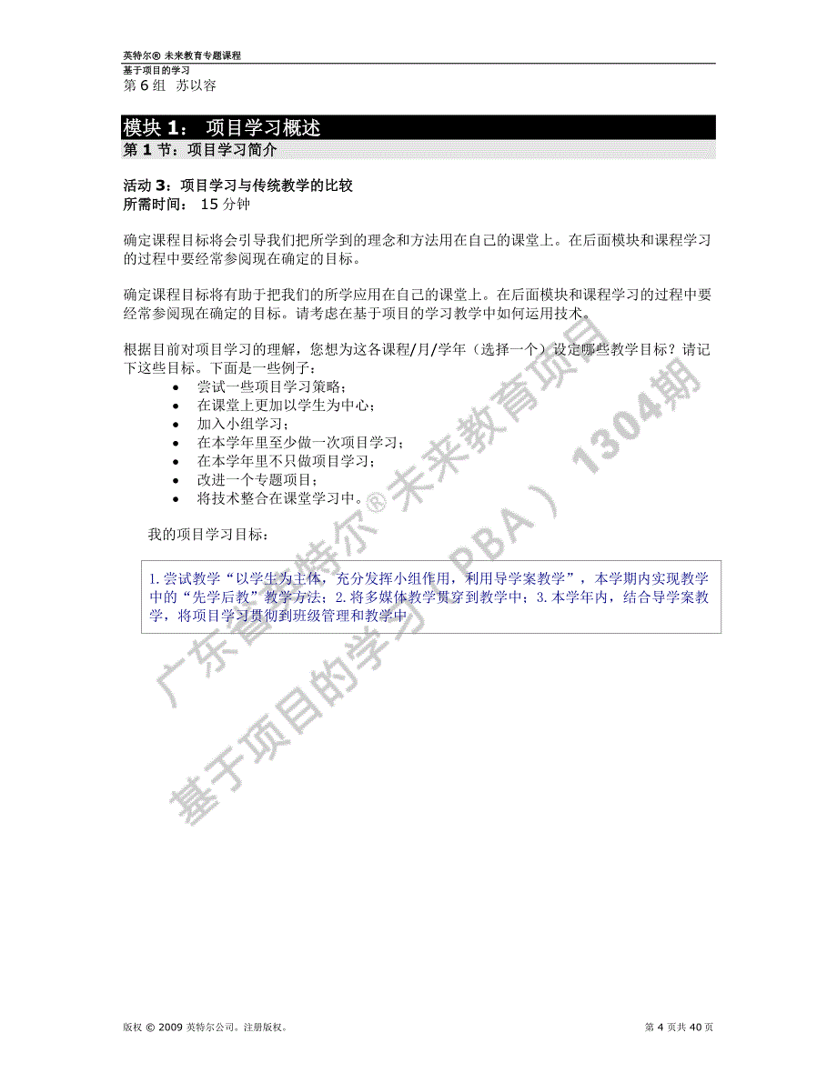 (2020年)项目管理项目报告项目学习模块四行动计划范本_第4页