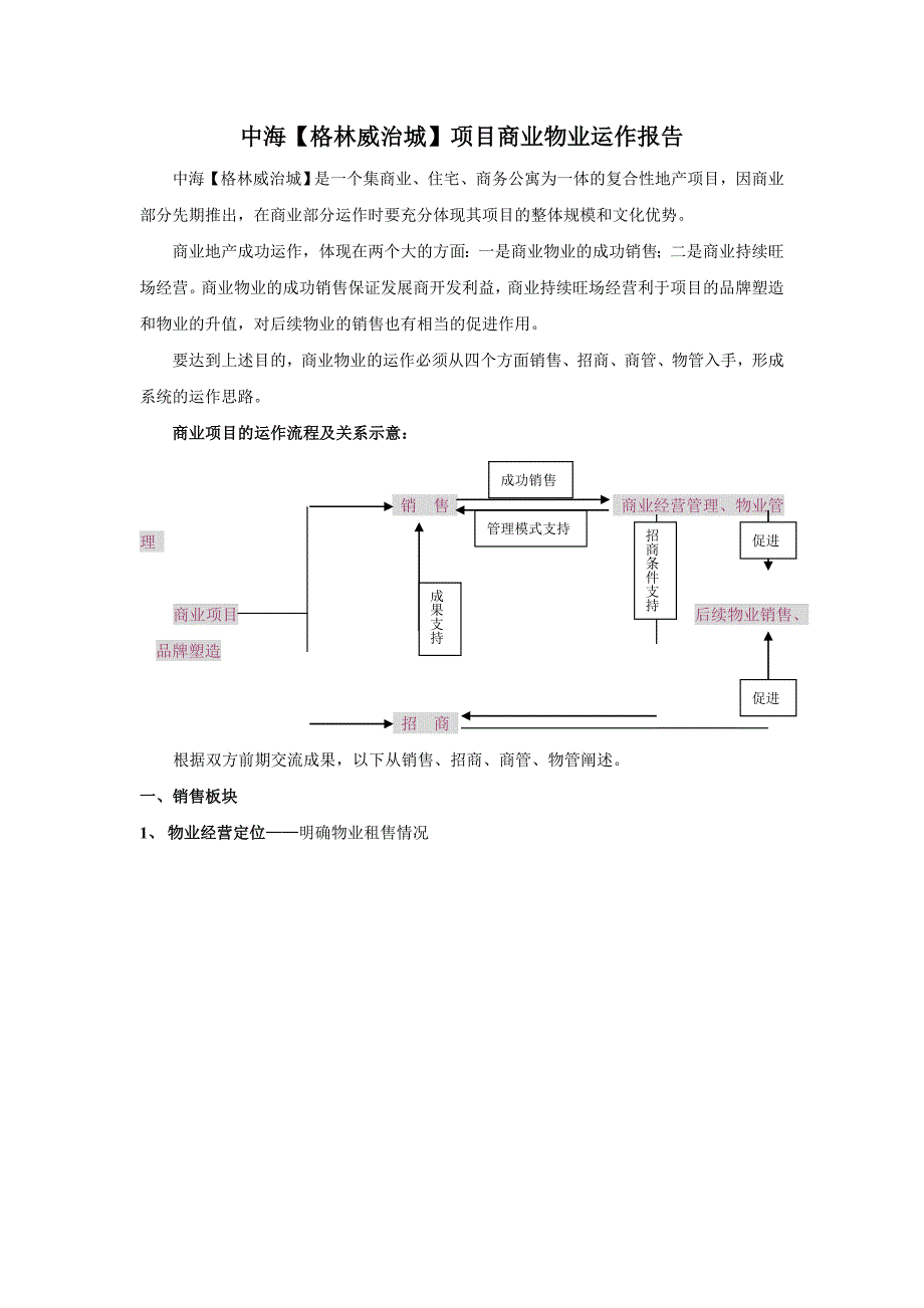 (2020年)运营管理某项目商业运作报告_第1页