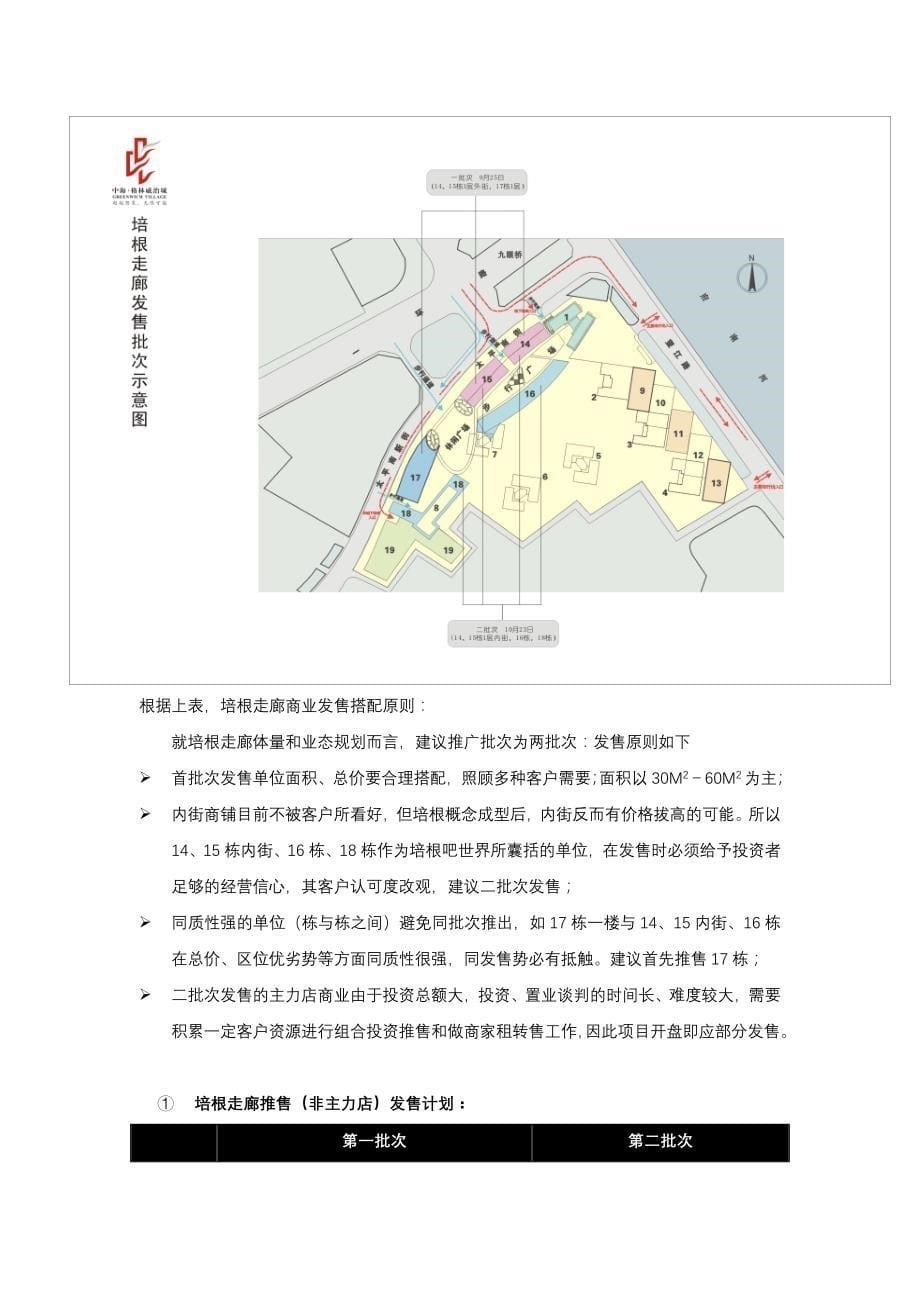 (2020年)运营管理某项目商业运作报告_第5页