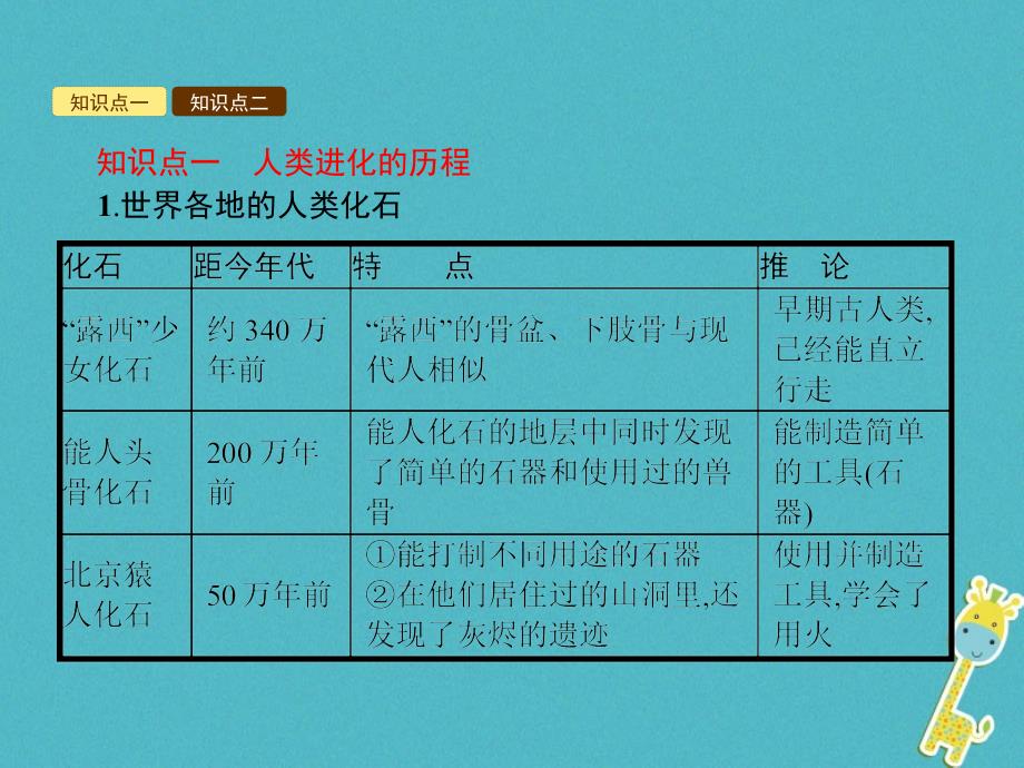 八年级生物下册5.2.2人类的进化课件（新版）济南版_第2页