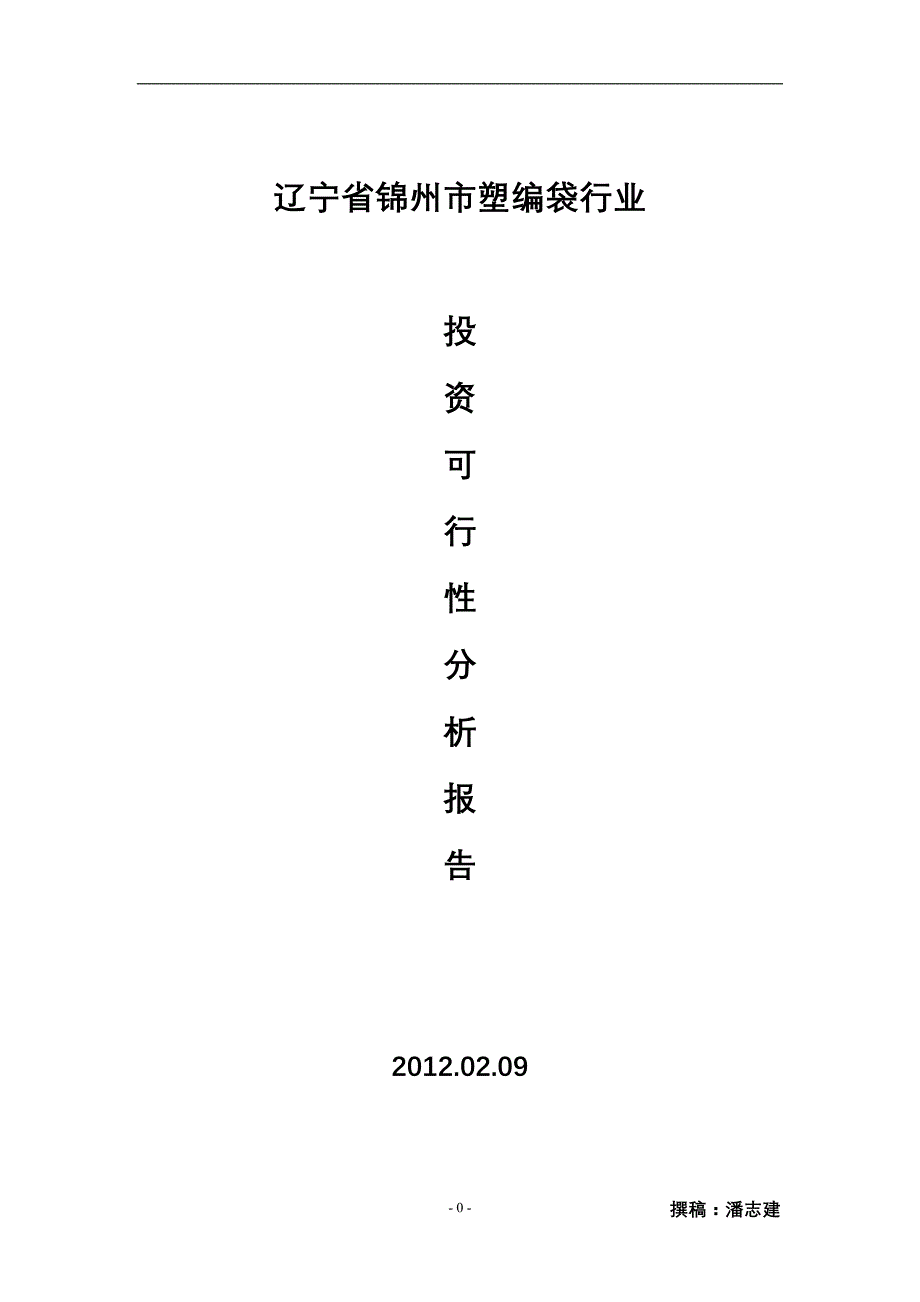 (2020年)项目管理项目报告塑编袋项目_第1页