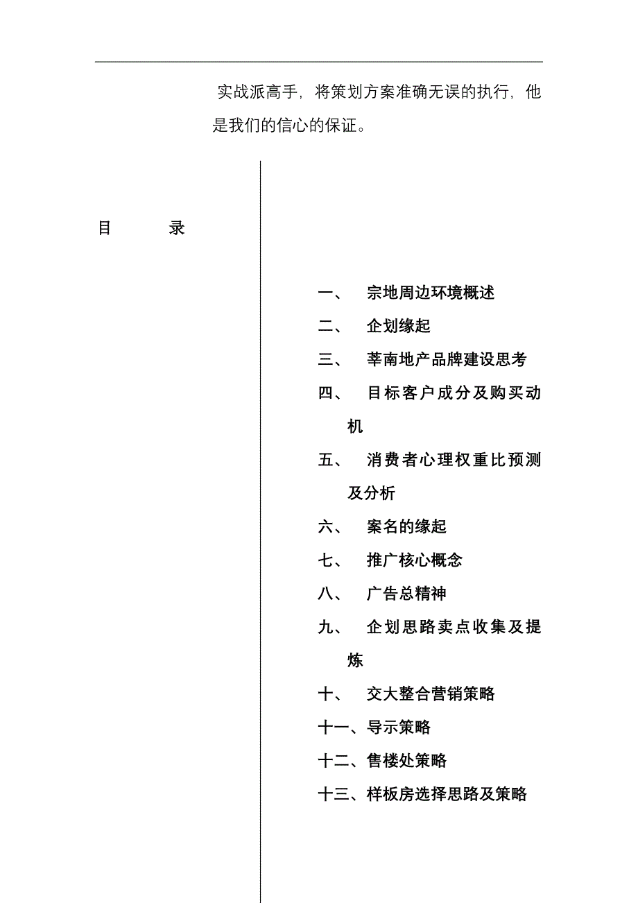 (2020年)营销策划某市好地方策划报告_第2页