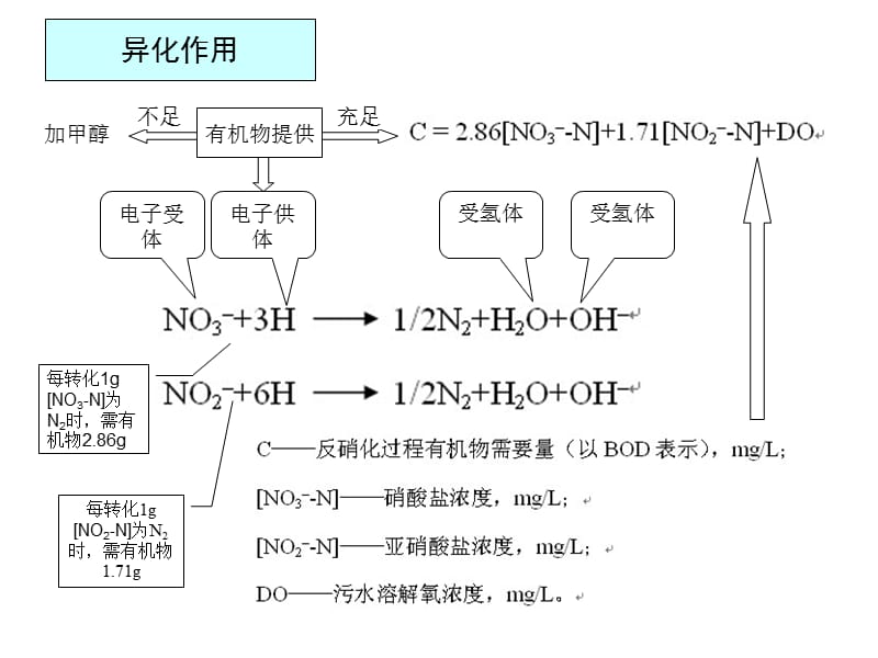 生物反硝化过程_第3页