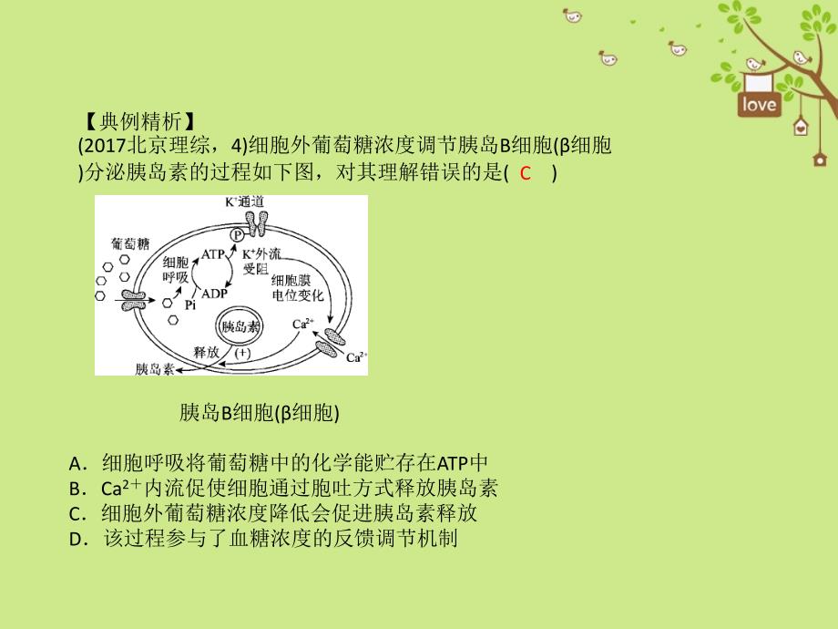 高考生物二轮复习第三部分题型突破课件_第4页