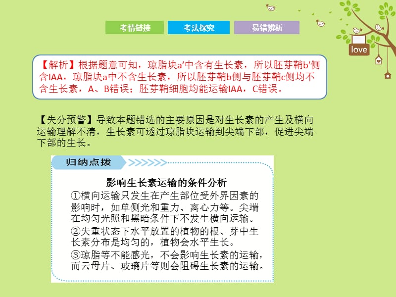 高考生物二轮复习第二部分专题十植物生命活动的调节课件_第4页