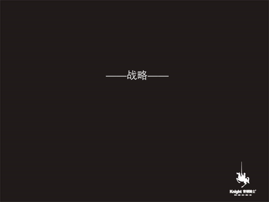 {营销}青铜骑士某市某地产丽都城综合体项目推广151p营销_第2页