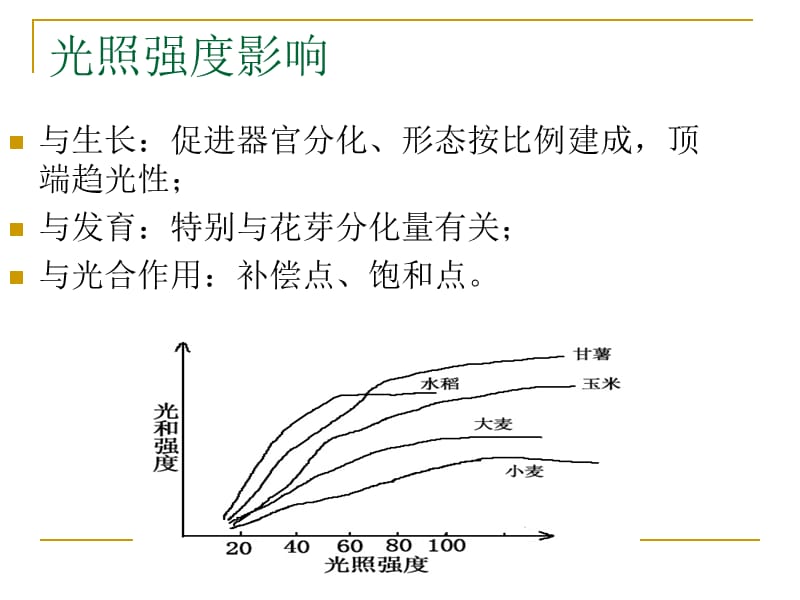 {生产管理知识}第四章作物生产与环境PowerPointPresen_第5页