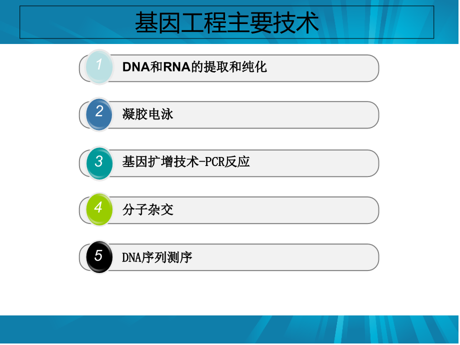 {生产管理知识}基因工程涉及的主要技术_第4页