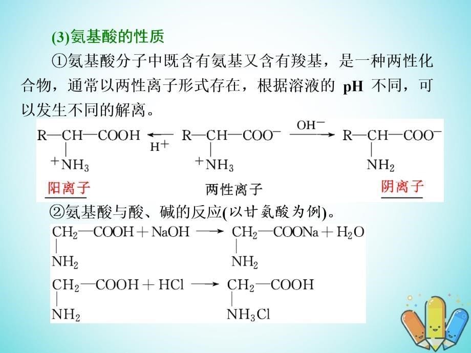 高中化学第二章官能团与有机化学反应烃的衍生物第4节羧酸氨基酸和蛋白质第2课时氨基酸和蛋白质课件鲁科版选修5_第5页