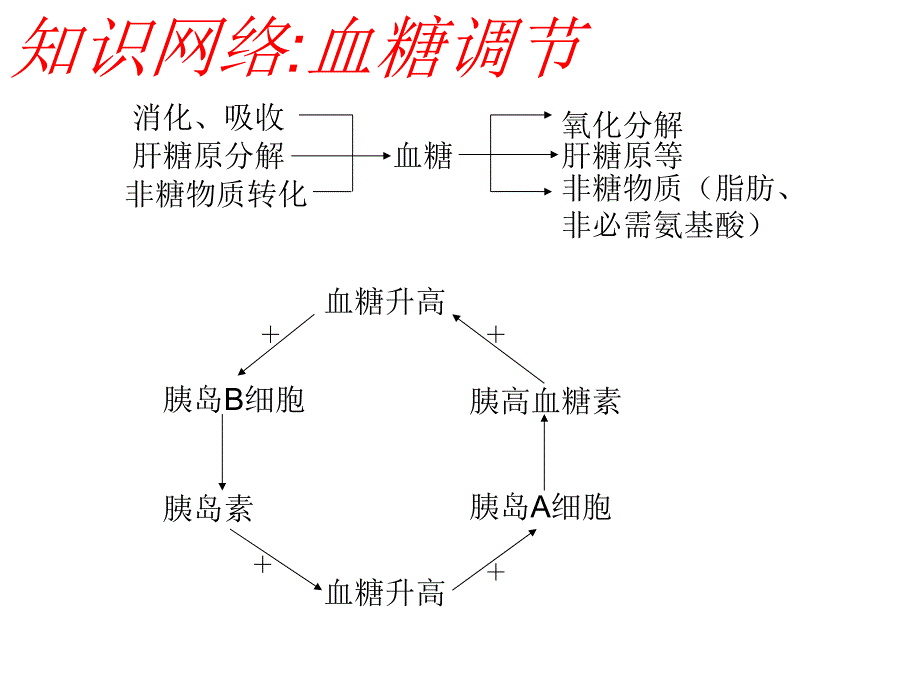 {环境管理}人体的内环境与稳态新人教版必修353239243_第4页