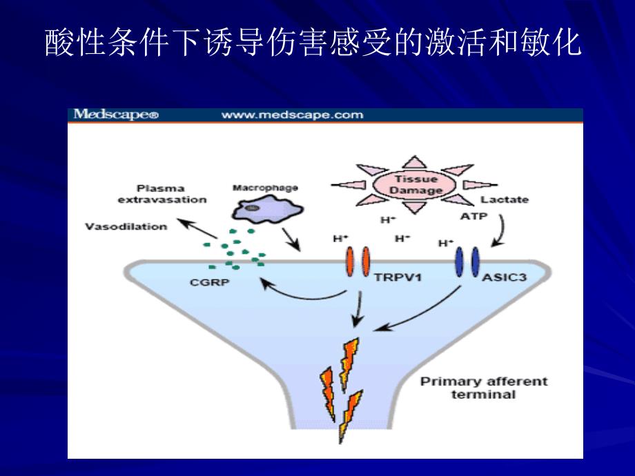 {会议管理}美国疼痛学会加拿大疼痛学会第2届联席会议会议纪要_第4页