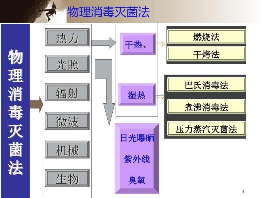 {设备管理}消毒灭菌技术与设备讲义_第5页