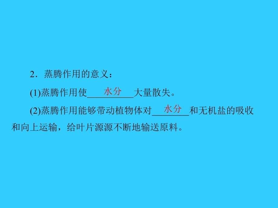 中考生物基础复习第三章第二讲绿色植物的作用课件_第5页