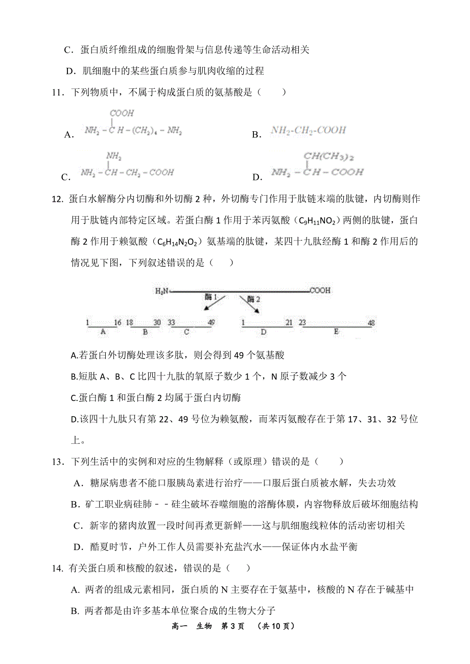 2019-2020学年高一上学期期中考试生物_第3页