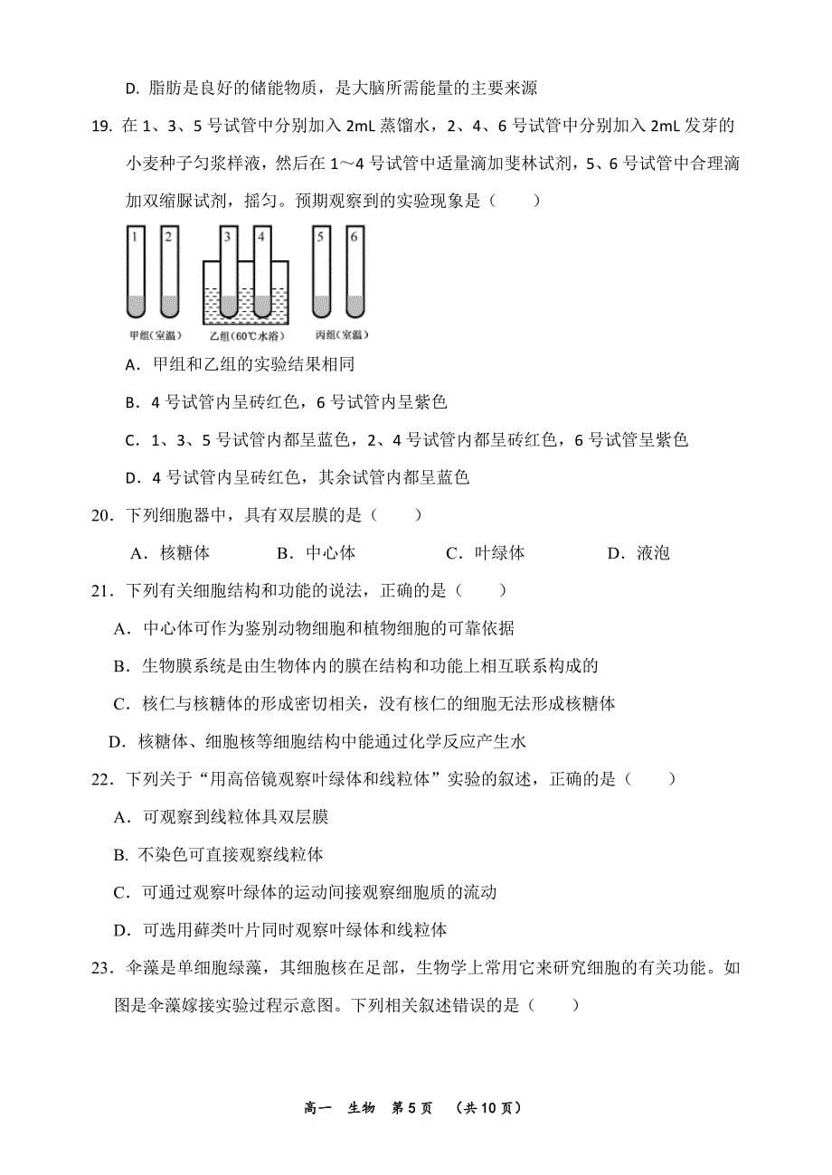 2019-2020学年高一上学期期中考试生物_第5页