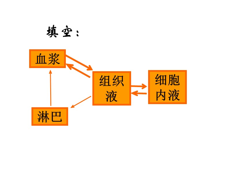 {环境管理}212内环境稳态的重要性_第3页