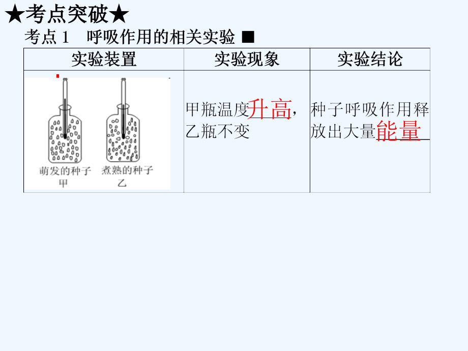 中考生物复习-第三单元-第五、六章-绿色植物的呼吸作用课件_第2页