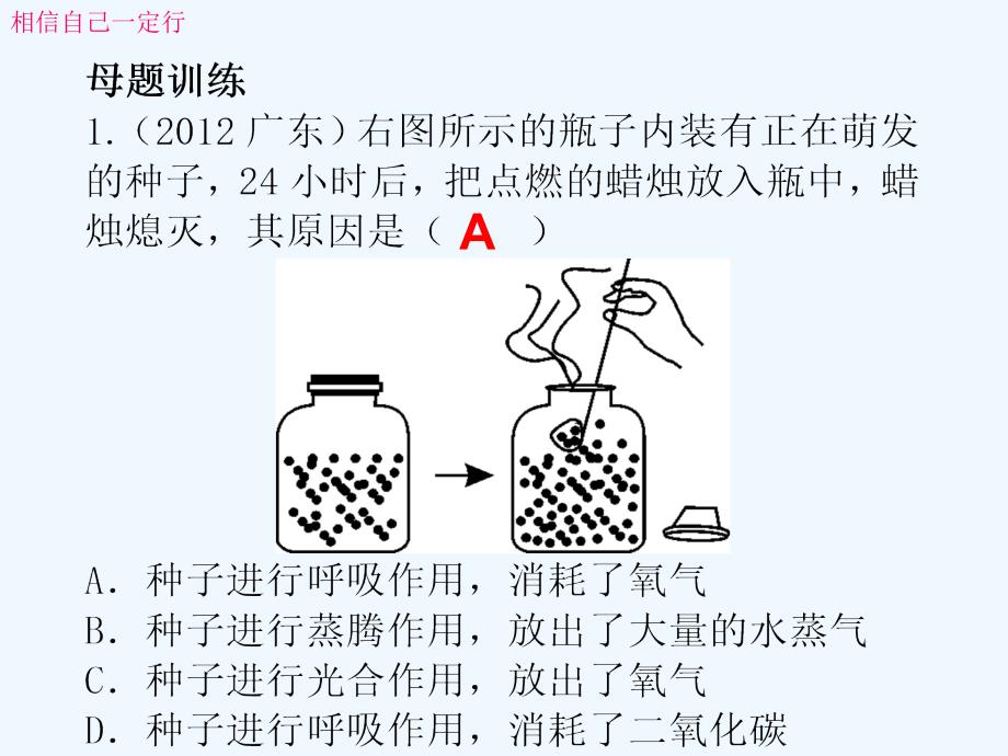 中考生物复习-第三单元-第五、六章-绿色植物的呼吸作用课件_第4页