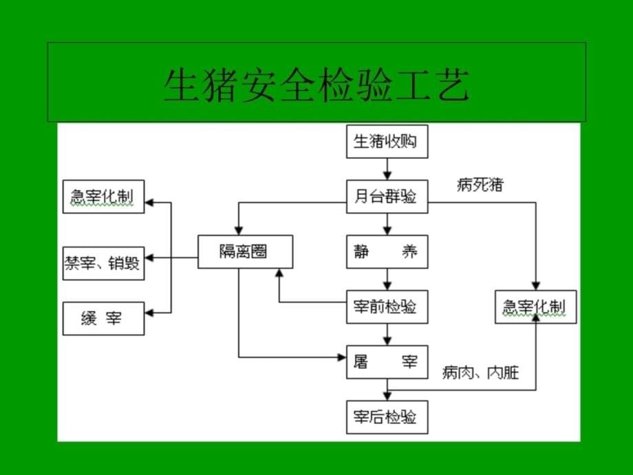 屠宰工艺培训教材讲课资料_第5页